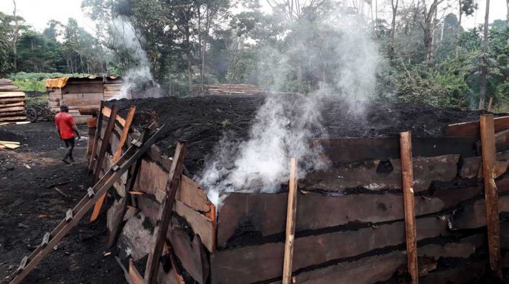 Production naturelle du charbon écologique au cameroun. Un usine de production de charbon à l'Est du Cameroun avant l'exportation du charbon vers d'autres points