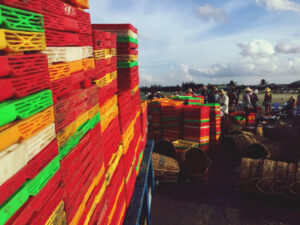 logistiques handling and transport sarl